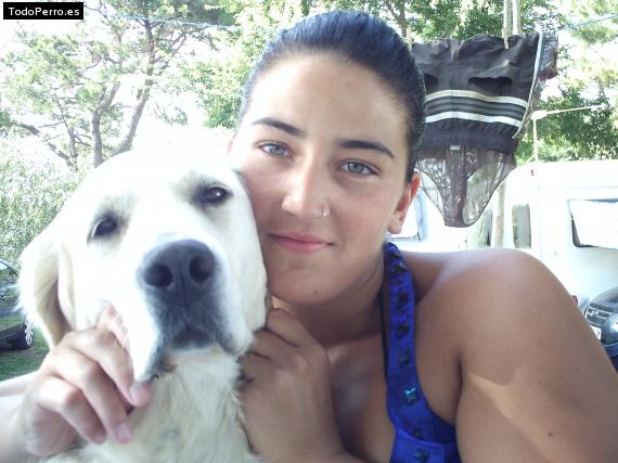 La foto del perro