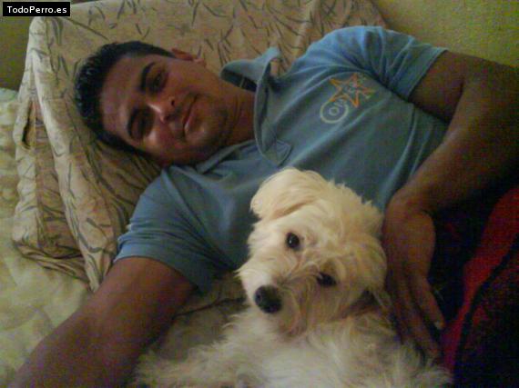 La foto del perro