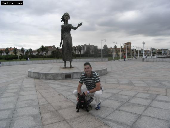 La foto del perro