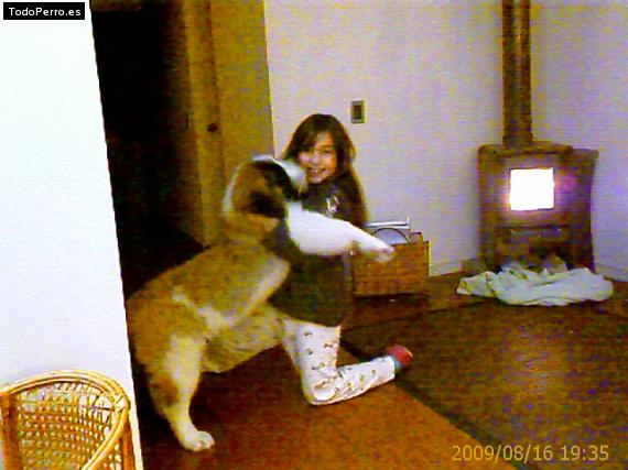 La foto del perro