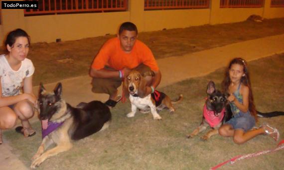 La foto del perro