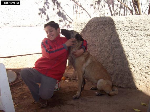 La foto del perro
