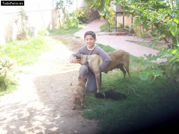 La foto del perro