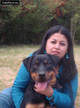 La foto del perro