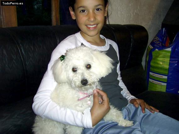 La foto del perro