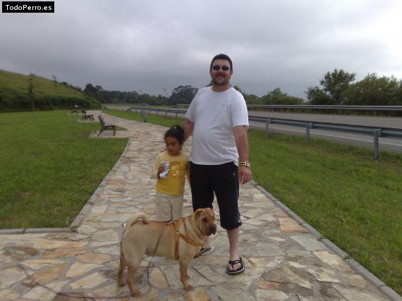 La foto del perro