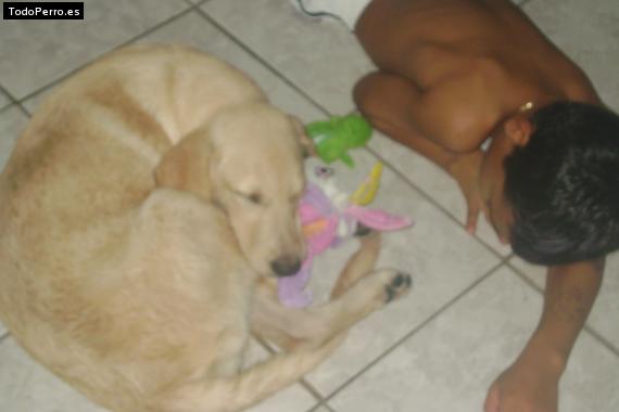 La foto del perro