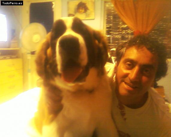 La foto del perro