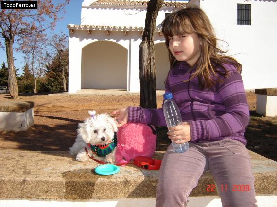 La foto del perro