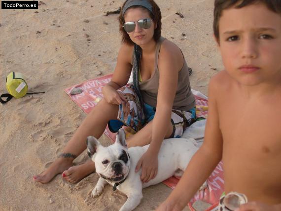 La foto del perro