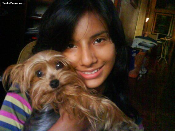 La foto del perro