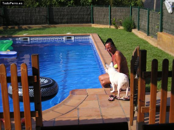 La foto del perro