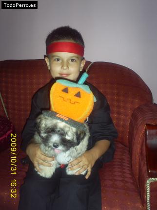 La foto del perro