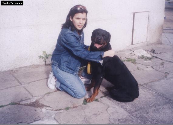 La foto del perro