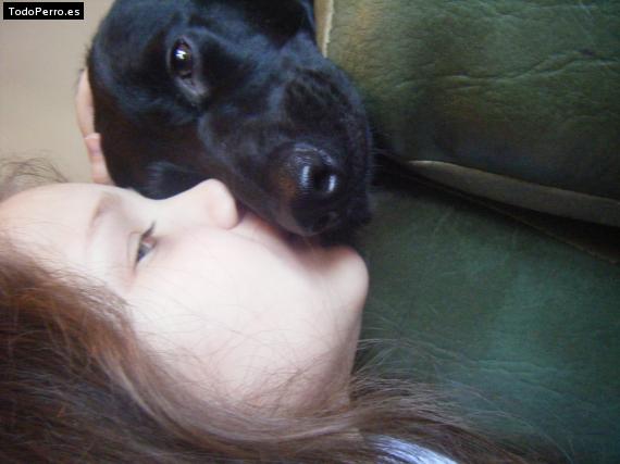 La foto del perro