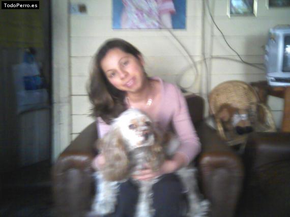 La foto del perro