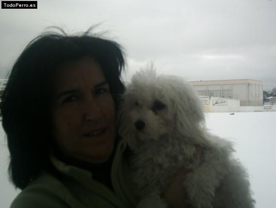 La foto del perro