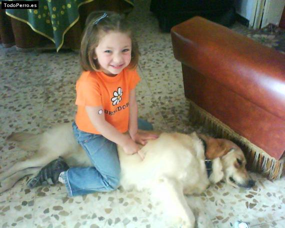 La foto del perro