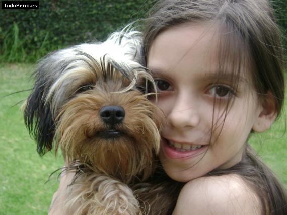 La foto del perro