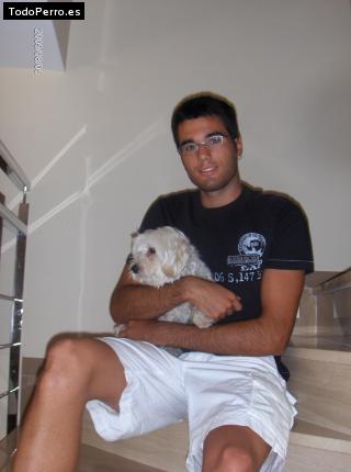 La foto del perro