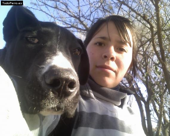 La foto del perro