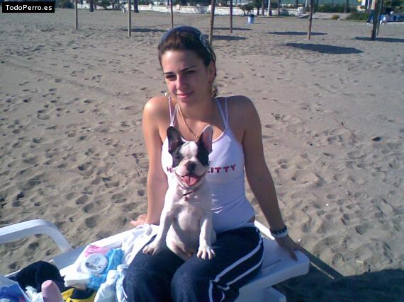 La foto del perro
