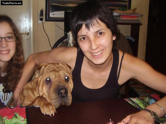 La foto del perro