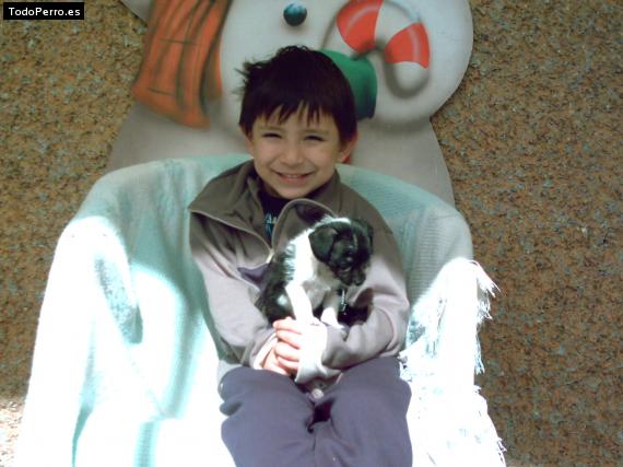 La foto del perro