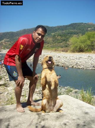 La foto del perro