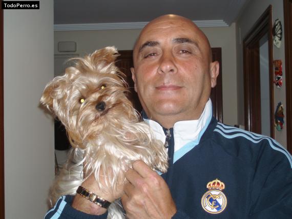 La foto del perro