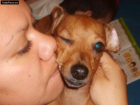 La foto del perro