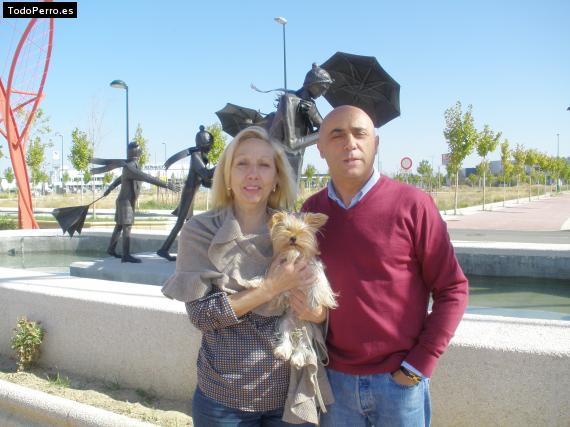 La foto del perro