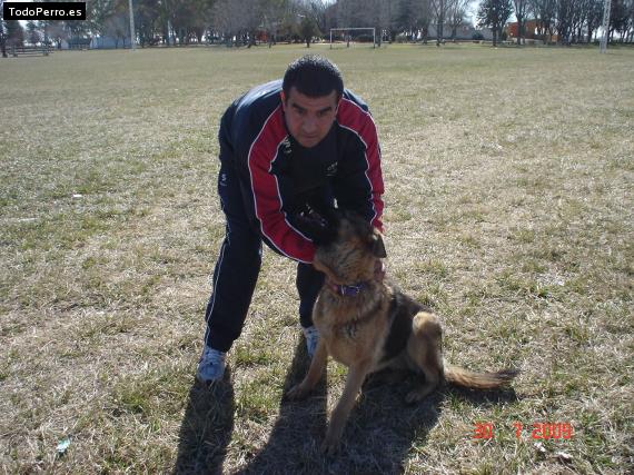 La foto del perro