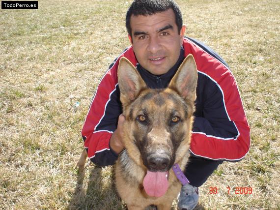 La foto del perro