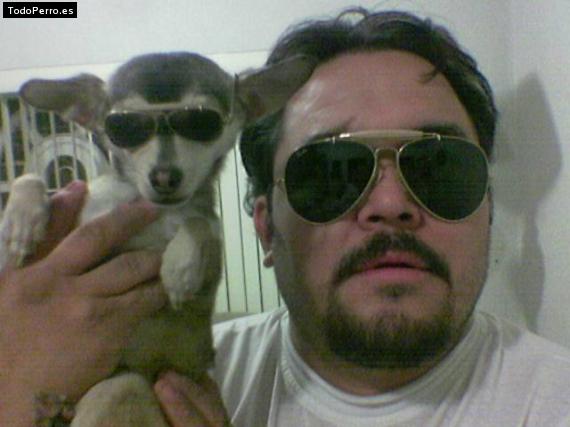 La foto del perro