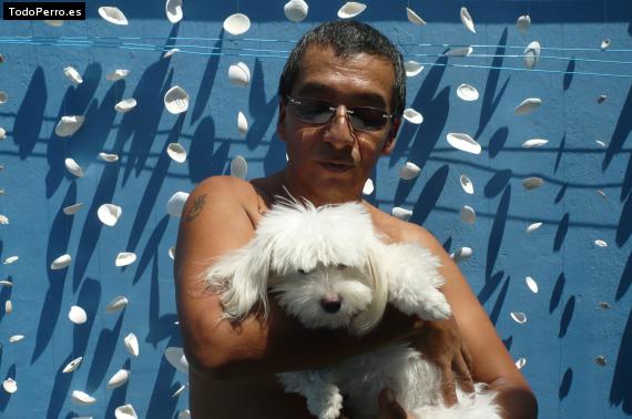 La foto del perro