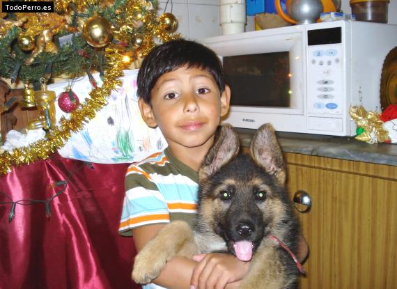 La foto del perro