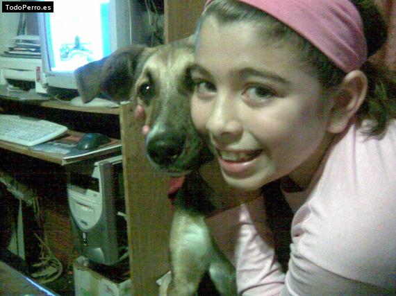 La foto del perro