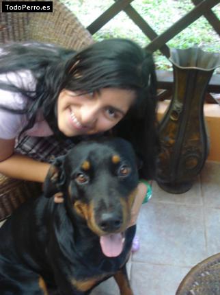 La foto del perro