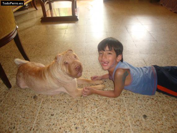 La foto del perro