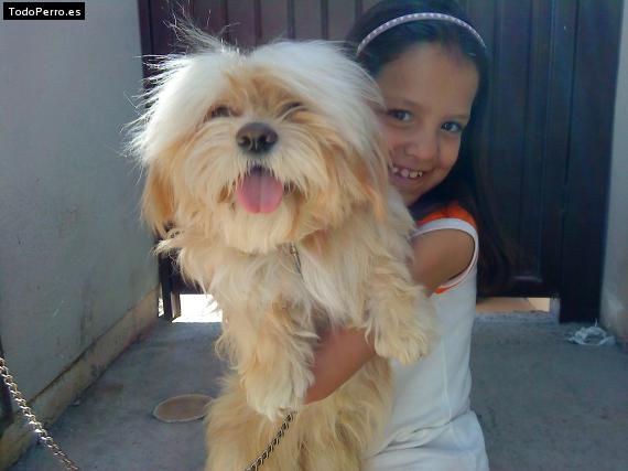 La foto del perro