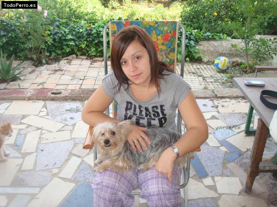 La foto del perro