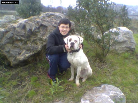 La foto del perro