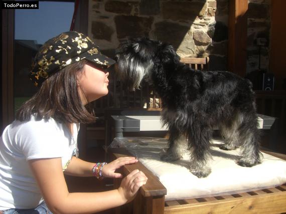 La foto del perro
