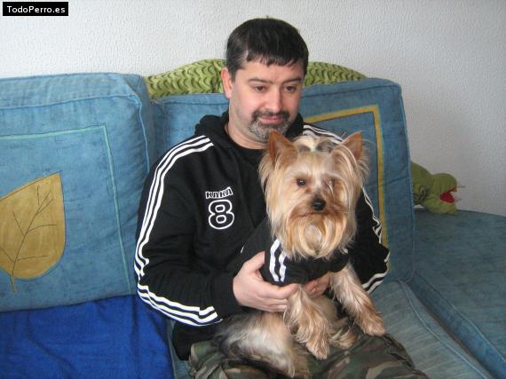 La foto del perro