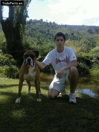La foto del perro