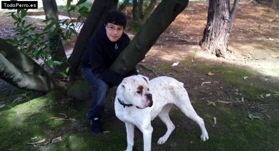 La foto del perro