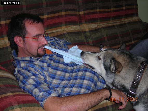 La foto del perro