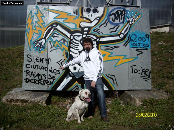 La foto del perro