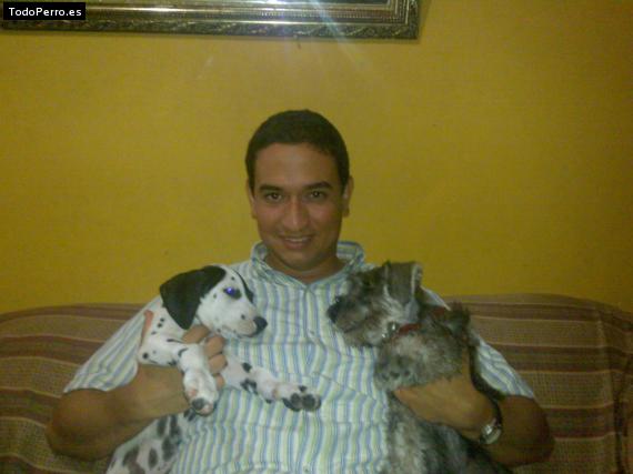 La foto del perro